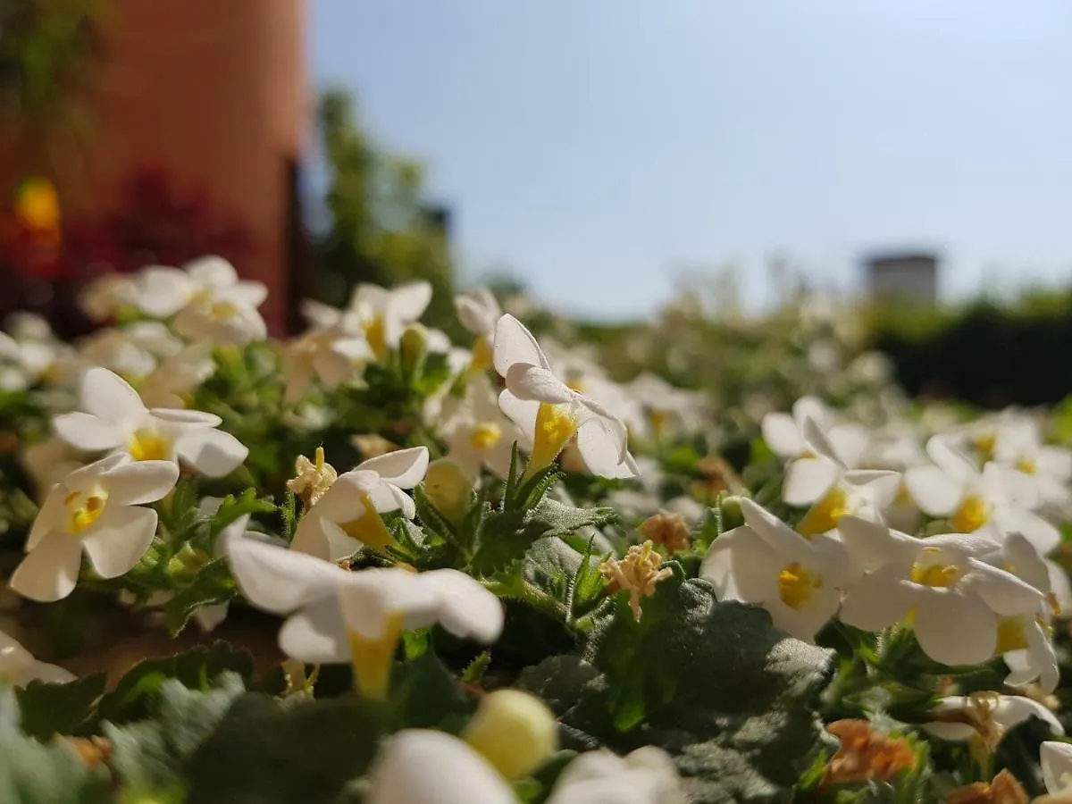 B&B Villa Giulia Desenzano del Garda 0*,  İtalya